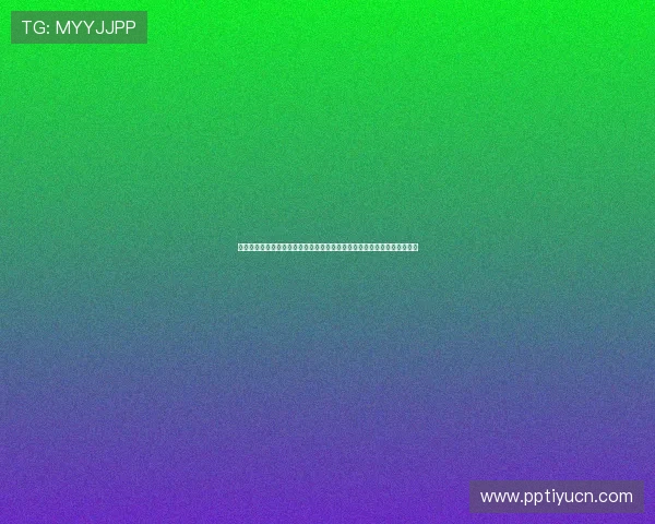 星光娱乐带你领略世界杯现场氛围，最新赛事资讯与明星嘉宾精彩瞬间回顾